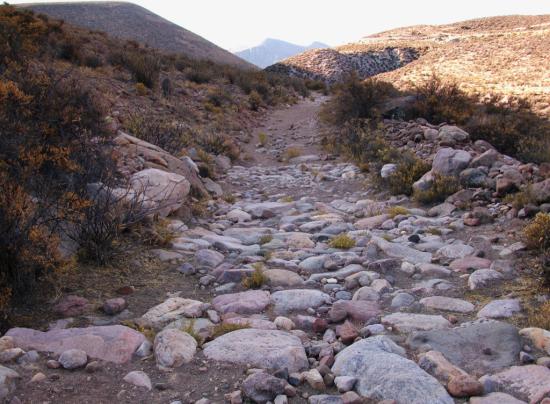 Qhapaq Ñan, Sistema Vial Andino. Tramo Putre - Zapahuira ©SNPC